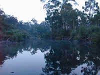 the cool evening light reflects the trees on the banks of the Moroka river
