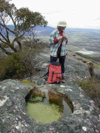 from the Langi Ghiran summit you can see the Mt Cole State forest
