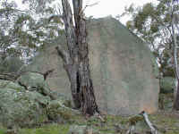 covered in lichen this granite tor towers above the western track